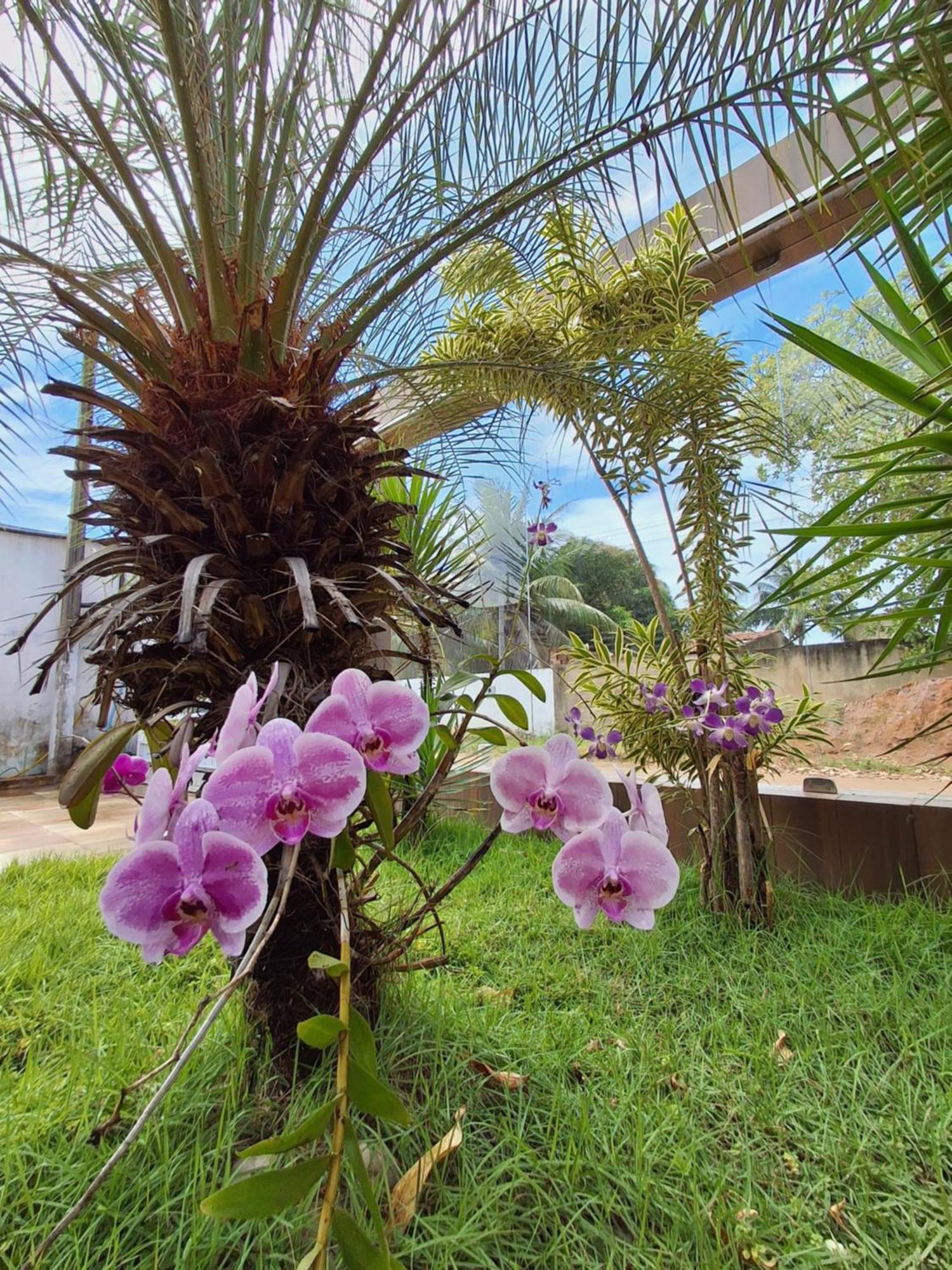 Casa Com Piscina Na Praia De Peroba Maragogi Exterior foto